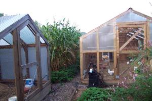 Build yourr own chicken coop!